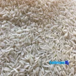 Detail view of Fajr Golchin Gorgan Rice Organic White nuts close-up texture