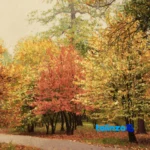 Edge view of C Persia Handwoven Carpet Tapestry Autumn Scene border and finishing
