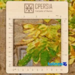 Edge view of C Persia Handwoven Tapestry Autumn Alley Design border and finishing