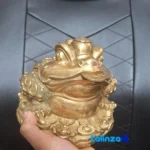 Top view of Bronze Zodiac Frog Statue Coin Design 18x18x18 cm package opening