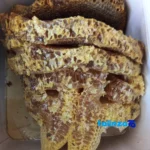 Natural Sadeh Honey - Premium Quality Dark Amber design and key details (Front view)