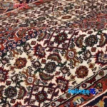 C Persia Handwoven Rug - Colorful Fish Design - Top view showing pattern and color tone