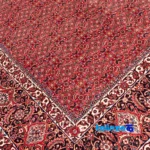 Full spread of Cypress Handwoven Carpet Unique Design overall layout