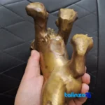China Bronze Lion Statues Set - Unique Design and key details (Front view)