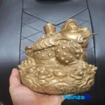 Bronze Zodiac Frog Statue Coin Design 18x18x18 cm - Package front showing product labeling and brand