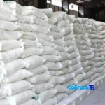 Front view of Mazandaran Tarom Aromatic Rice 10000 grams bag label and weight